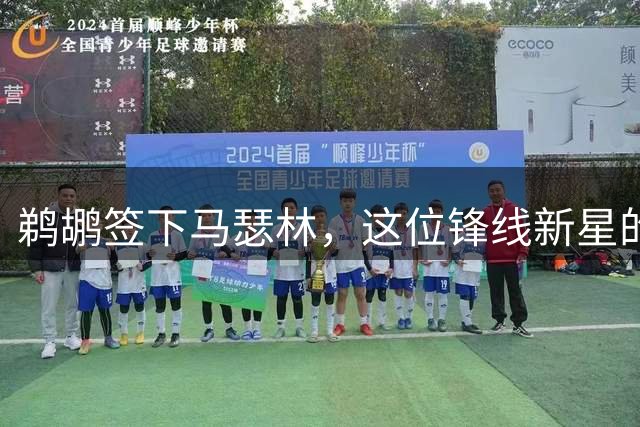 鹈鹕签下马瑟林，这位锋线新星的职业生涯走向何方？